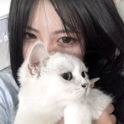 军师请布阵华为版下载