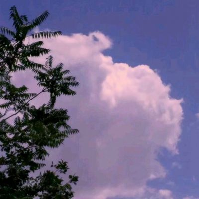 少年西游记qq版下载